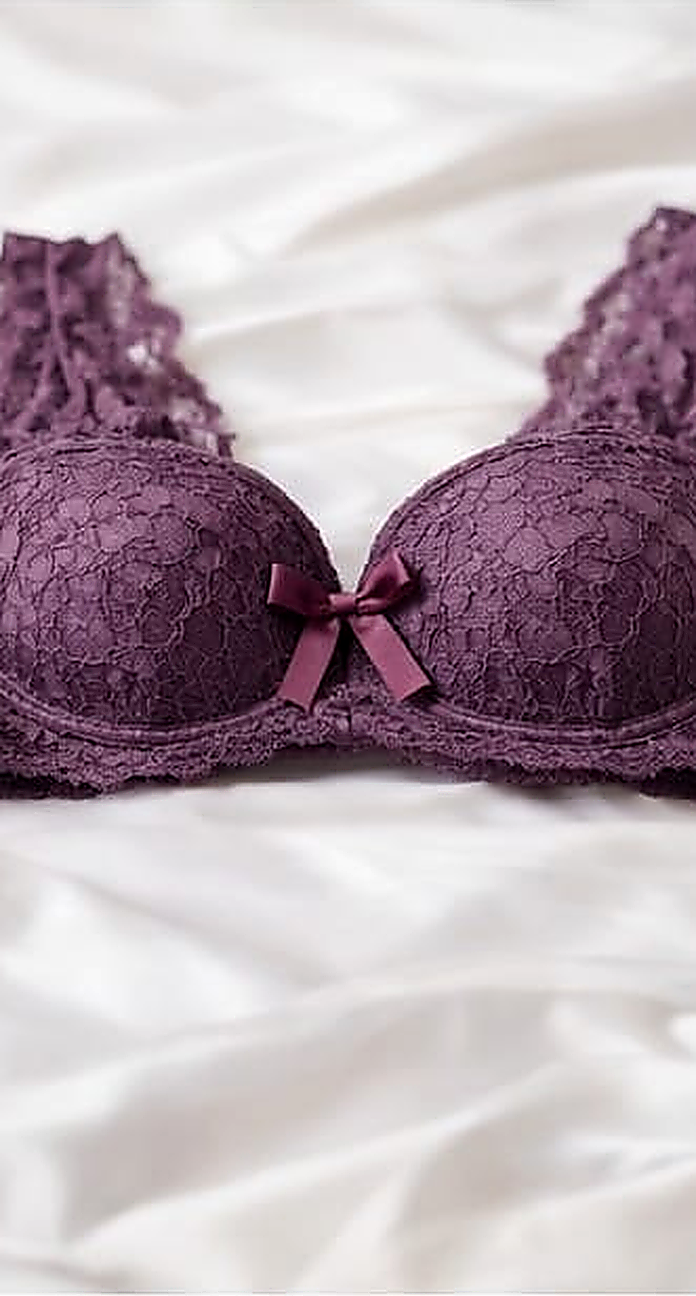 DMORA Royale Lace Padded Bra