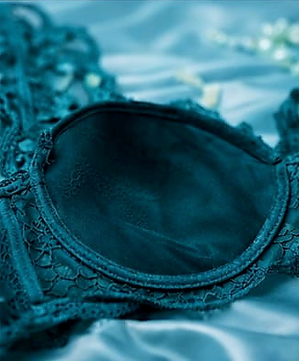 DMORA Royale Lace Padded Bra