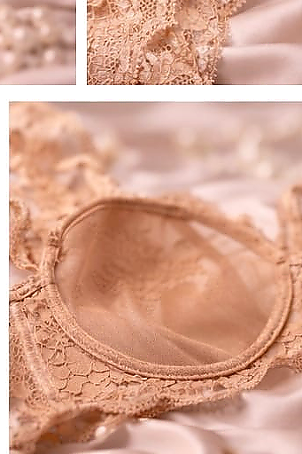 DMORA Royale Lace Padded Bra