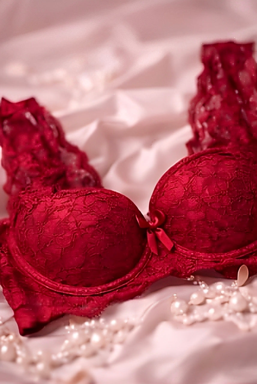DMORA Royale Lace Padded Bra