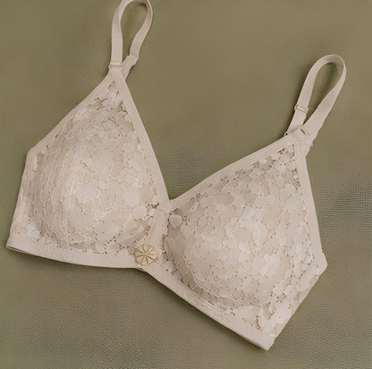 DMORA Fancy Lace Bra Value Pack of 2 – Premium Soft Support Lace Bras for Women - My Store 5