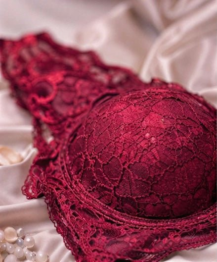 DMORA Royale Lace Padded Bra - My Store 5