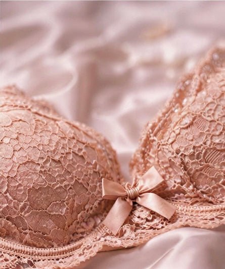 DMORA Royale Lace Padded Bra - My Store 5