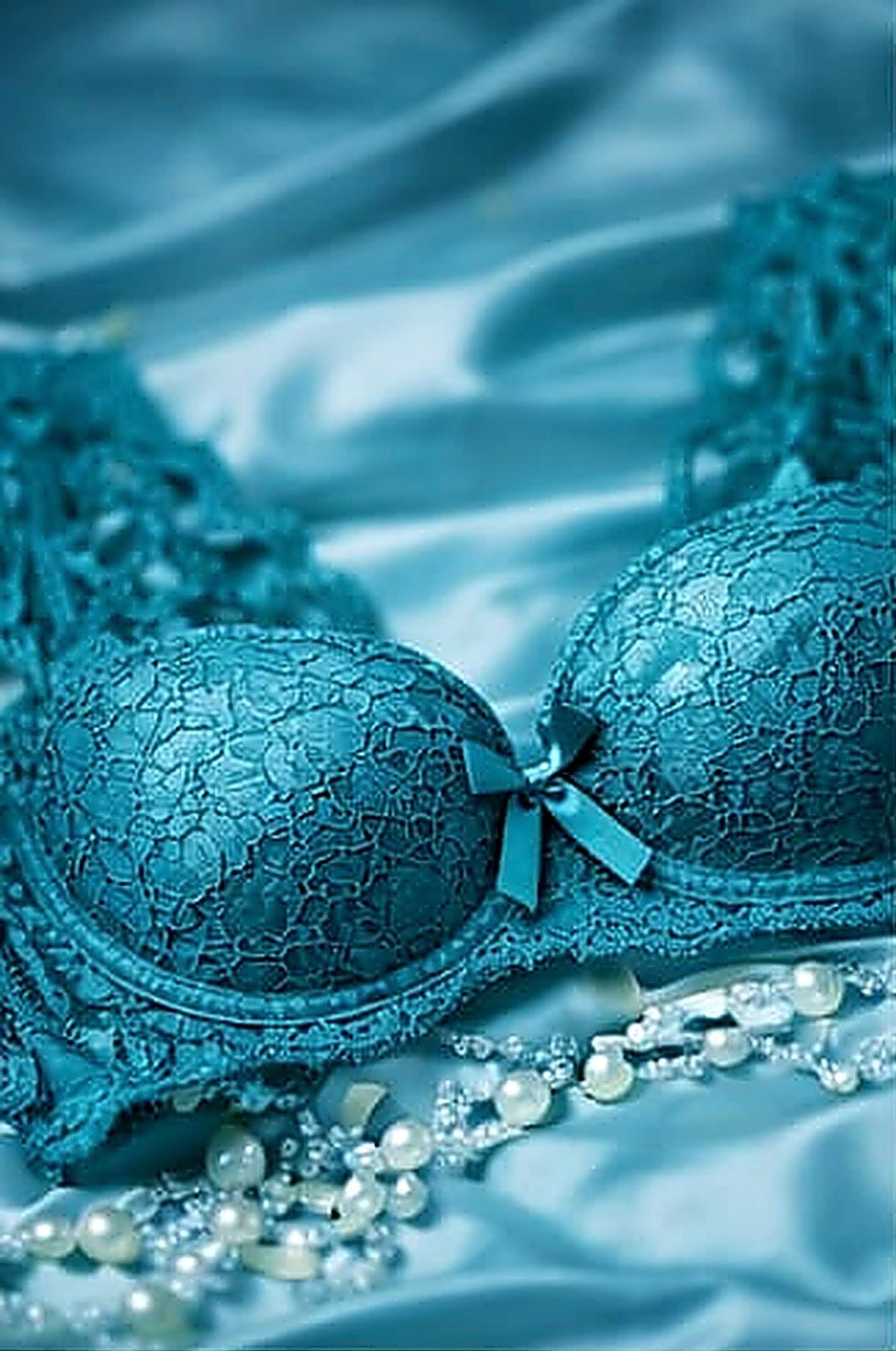 DMORA Royale Lace Padded Bra - My Store 5