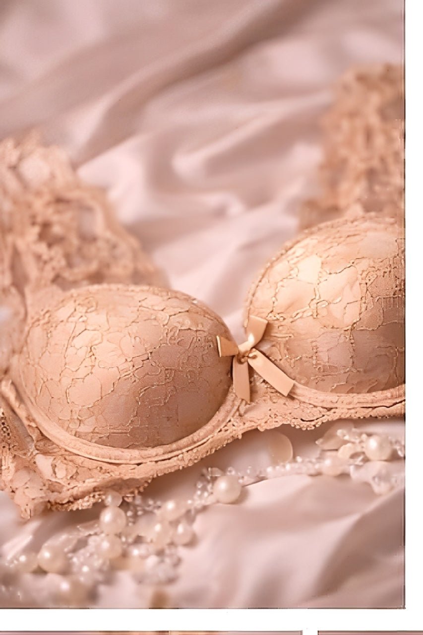 DMORA Royale Lace Padded Bra - My Store 5
