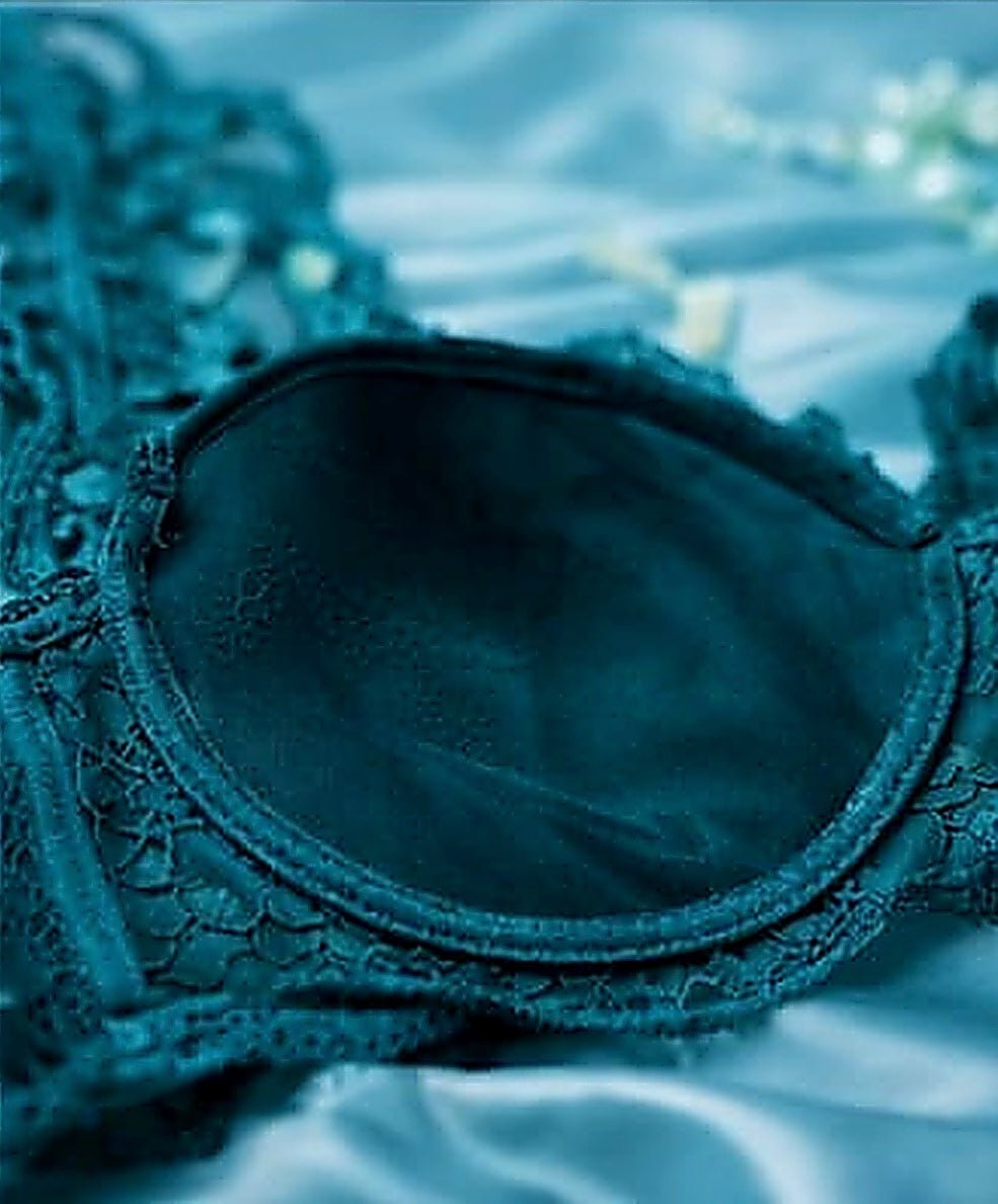 DMORA Royale Lace Padded Bra - My Store 5