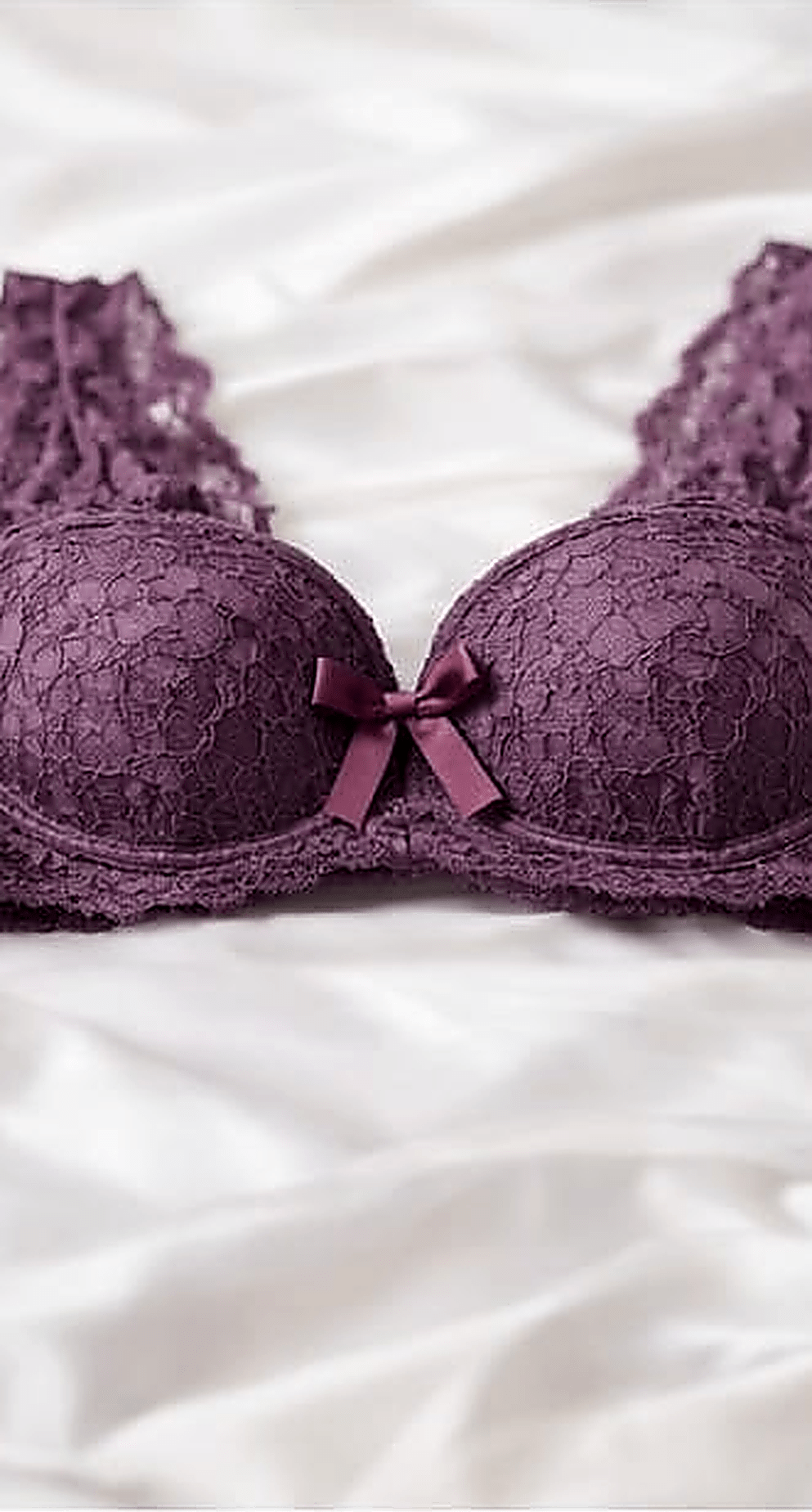 DMORA Royale Lace Padded Bra - My Store 5