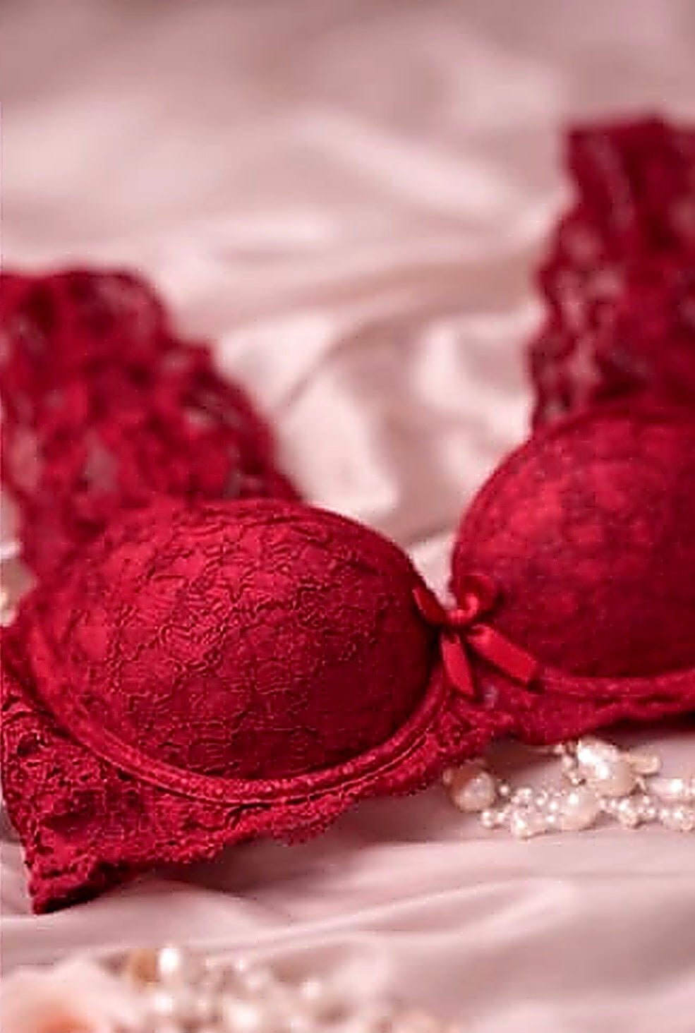 DMORA Royale Lace Padded Bra - My Store 5