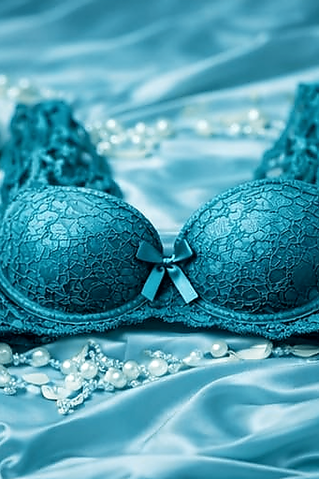 DMORA Royale Lace Padded Bra - My Store 5