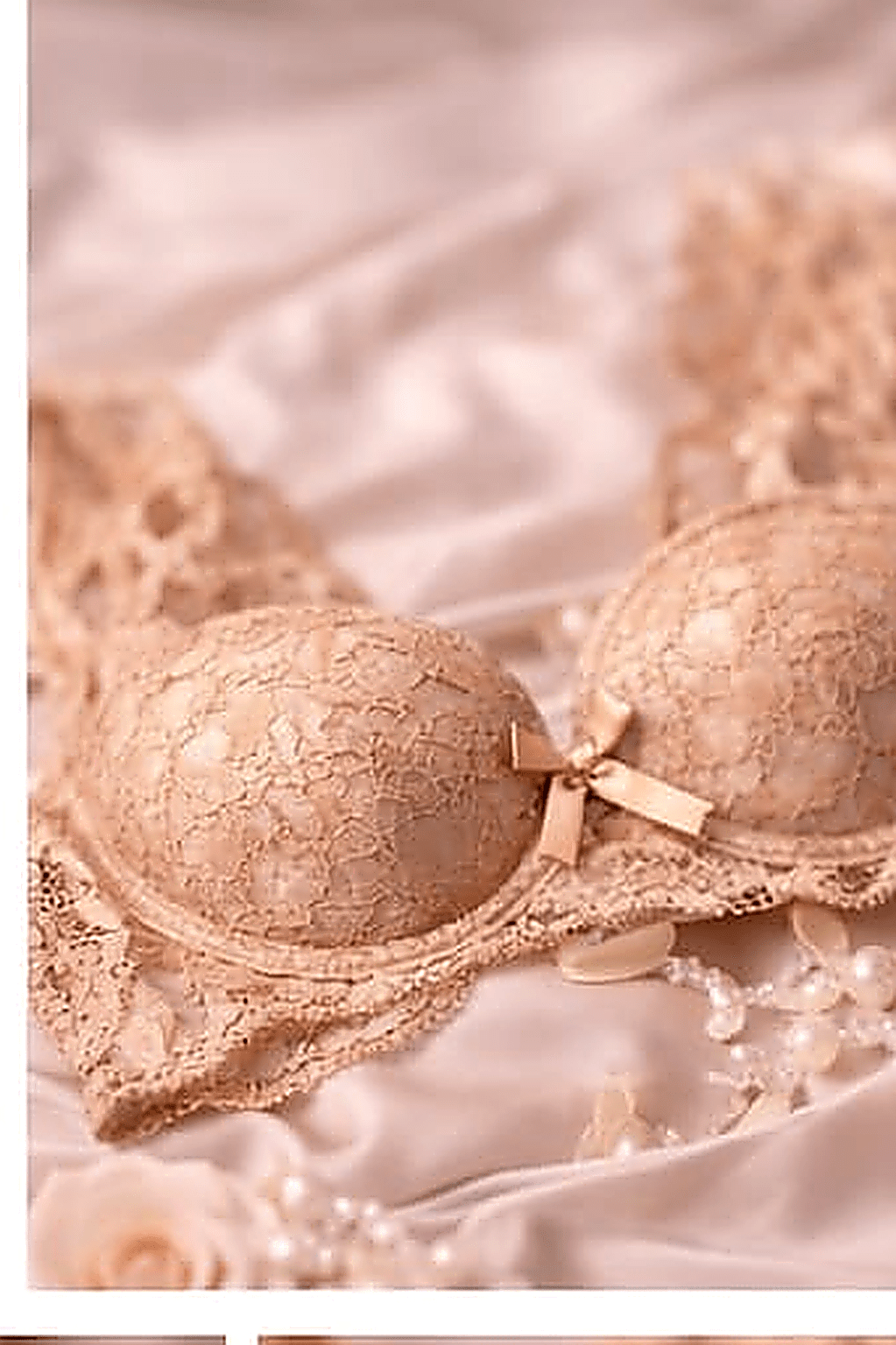 DMORA Royale Lace Padded Bra - My Store 5