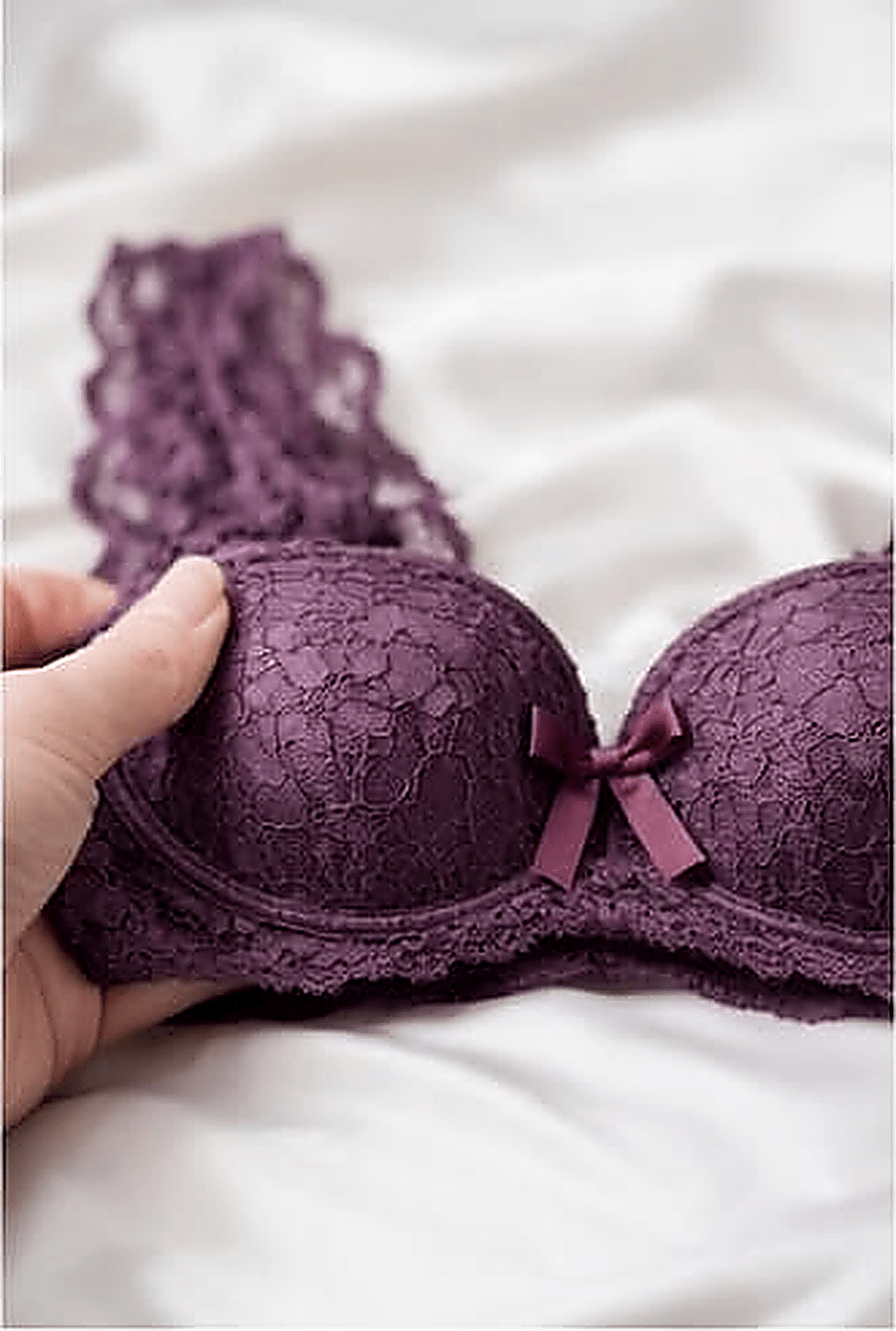 DMORA Royale Lace Padded Bra - My Store 5