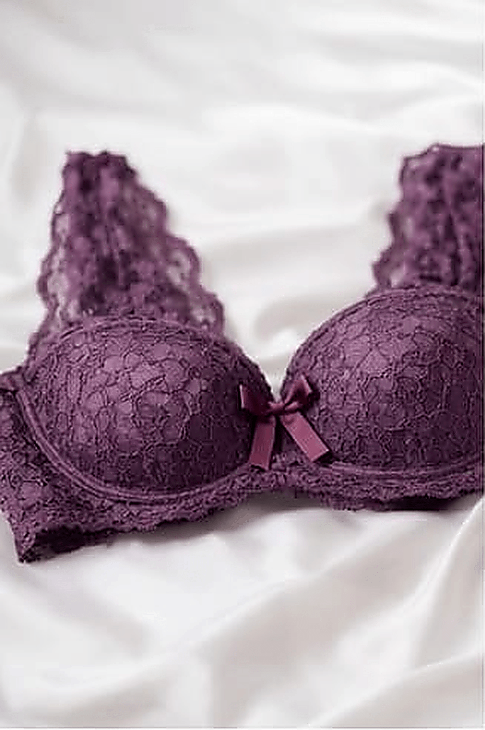 DMORA Royale Lace Padded Bra - My Store 5