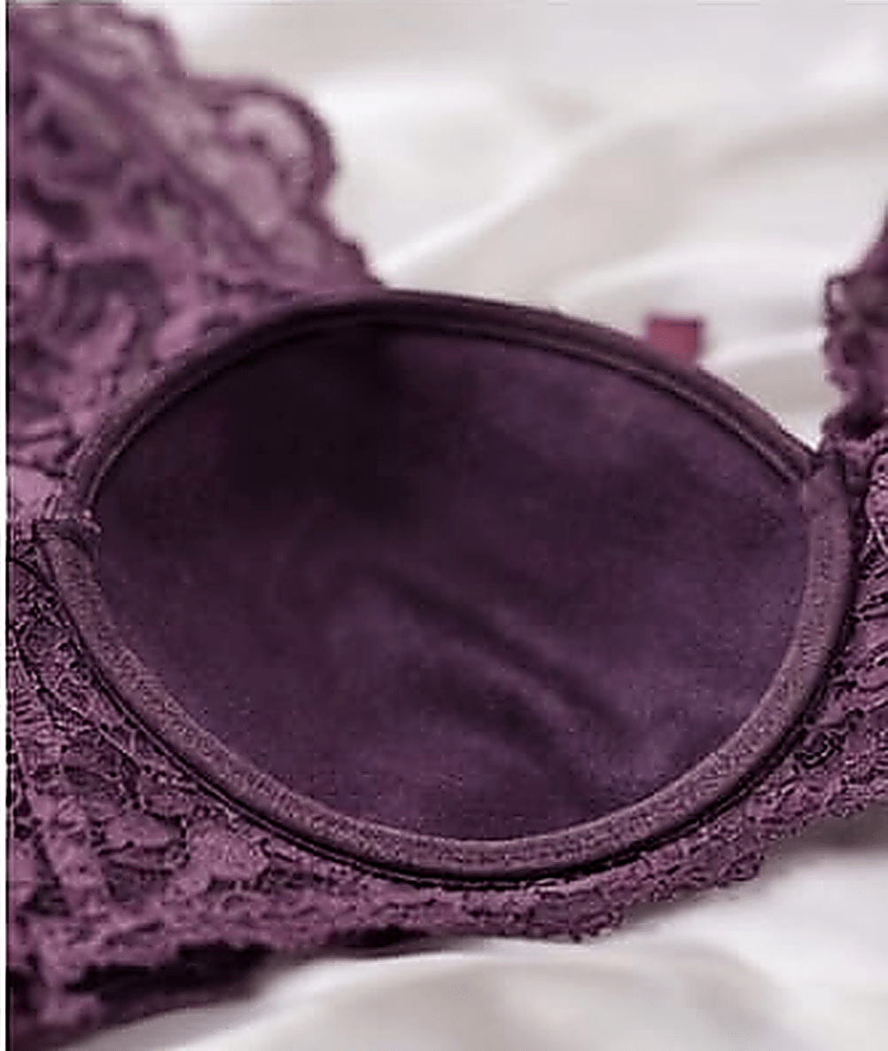 DMORA Royale Lace Padded Bra - My Store 5
