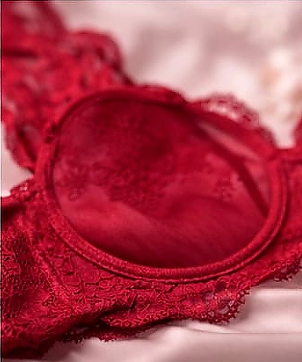 DMORA Royale Lace Padded Bra - My Store 5