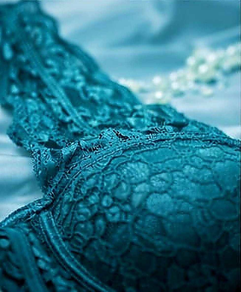 DMORA Royale Lace Padded Bra - My Store 5
