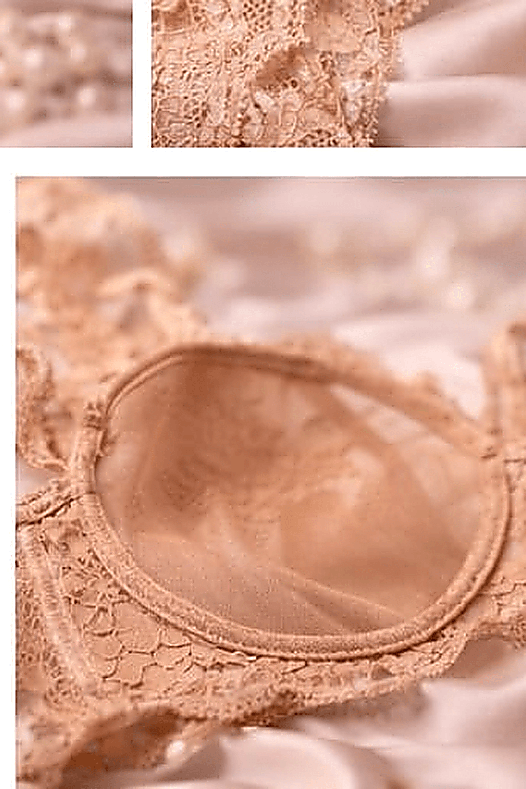 DMORA Royale Lace Padded Bra - My Store 5