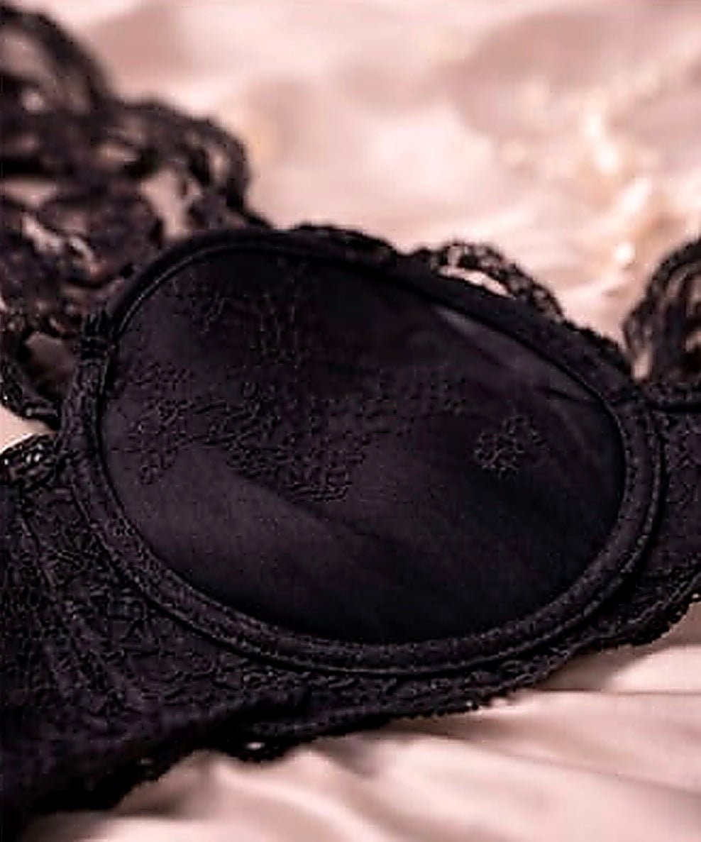 DMORA Royale Lace Padded Bra - My Store 5
