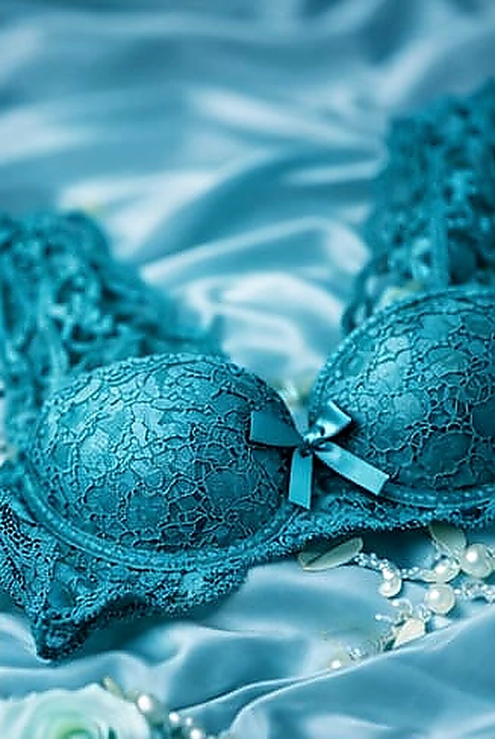 DMORA Royale Lace Padded Bra - My Store 5