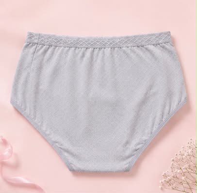 DMORA Soft Lace High-Waist Panty - My Store 5